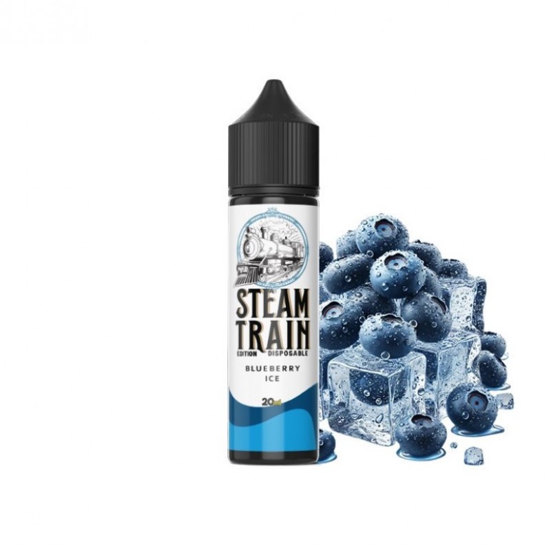 Steam Train Disposable Edition Blueberry Ice 20/60ml